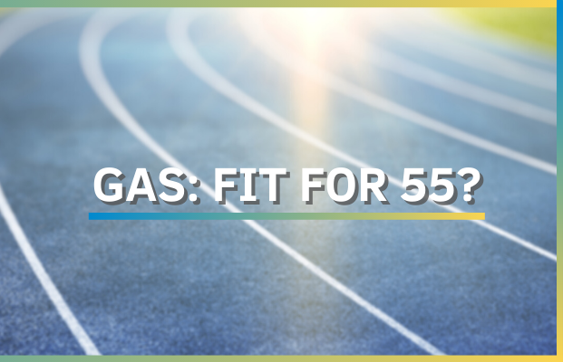 Eurogas Annual Conference: GAS: FIT FOR 55?